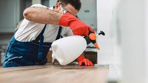 Best Commercial Pest Control  in Drain, OR